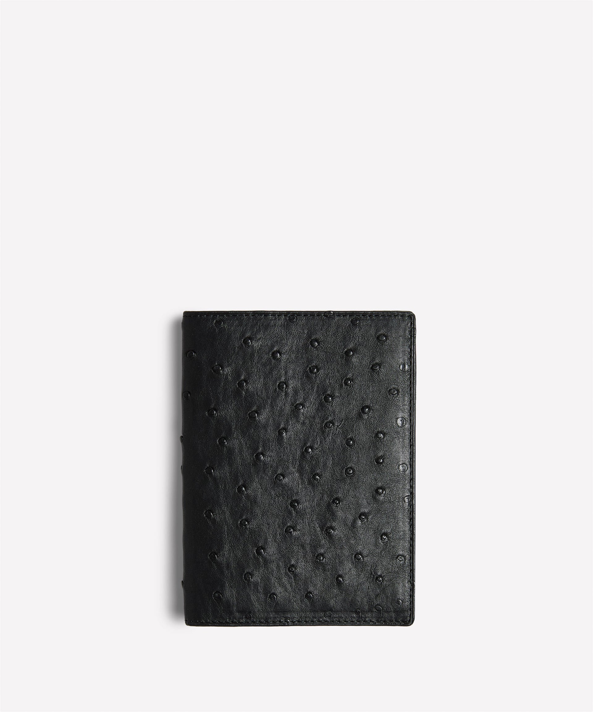 Passport Case